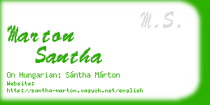marton santha business card